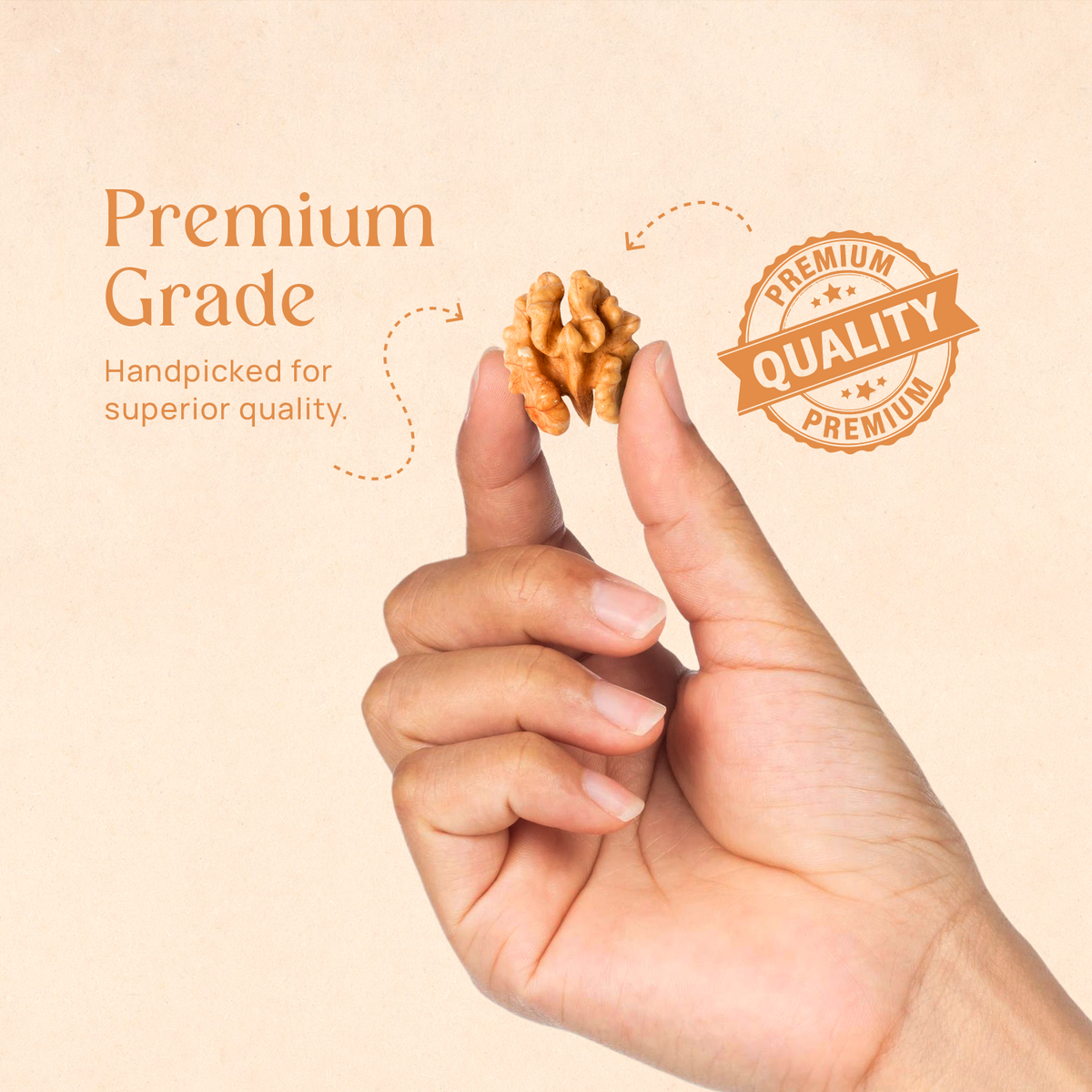 Hands holding chile walnut pieces